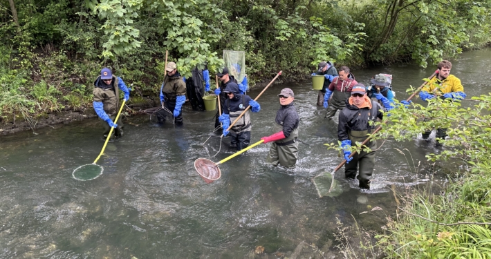 60 Personen haben bei der Fischumsiedlung am Werdenberger Binnenkanal Hand in Hand gearbeitet. Dank dem grossen Einsatz aller Beteiligter konnten 2471 Fische umgesiedelt werden. Foto: Ralph Dietsche