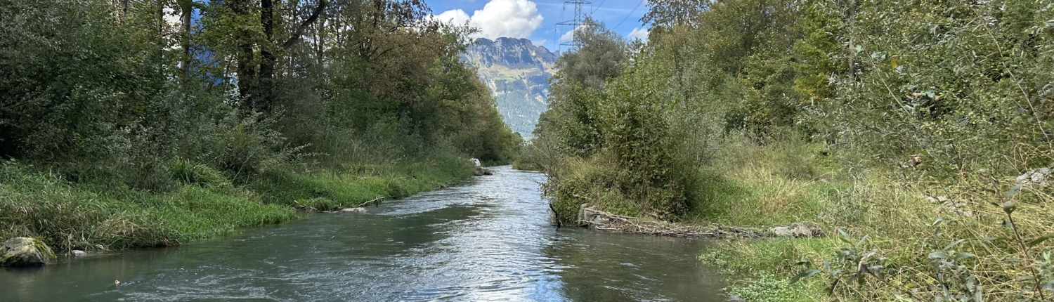 IMG_7101