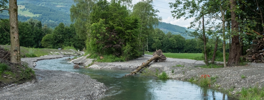 Der revitalisierte Werdenberger Binnenkanal in Sevelen. Foto: Ralph Dietsche